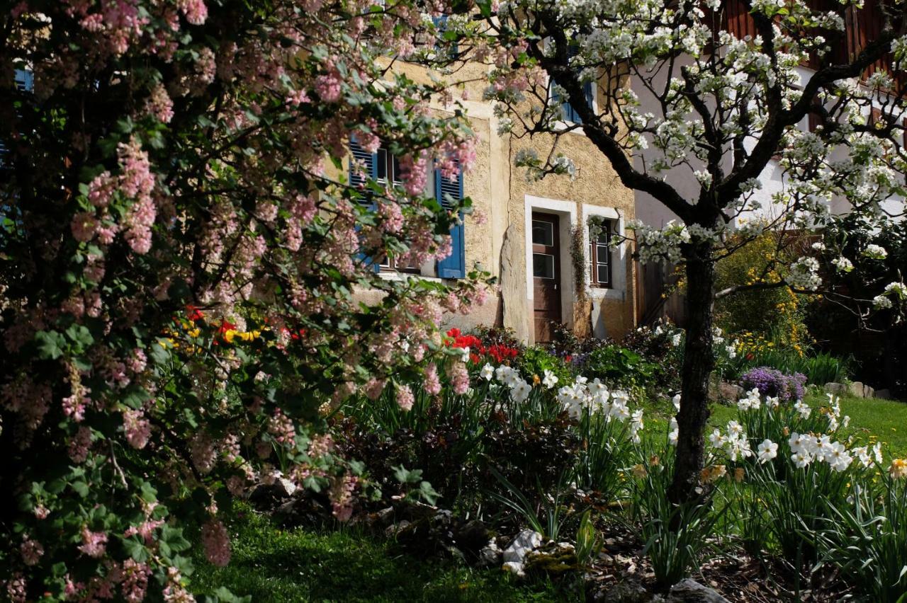 La Foyere Acomodação com café da manhã La Plagne Exterior foto